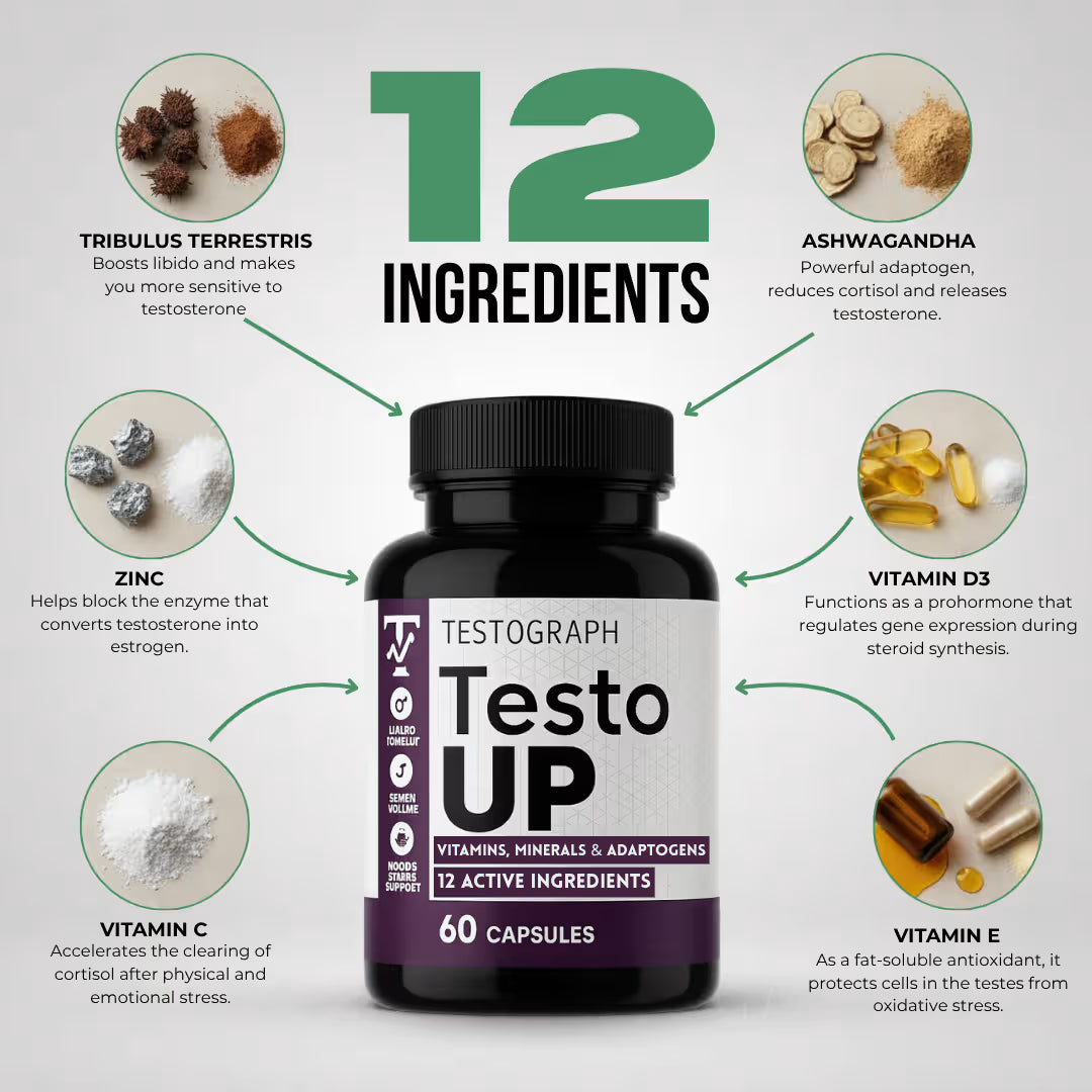 TestoUP - #1 MALE SUPPLEMENT
