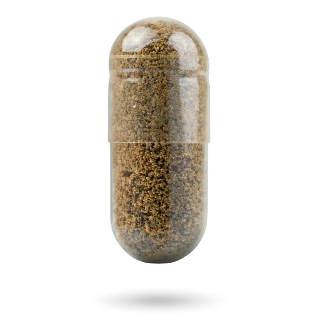testoup-capsule-image